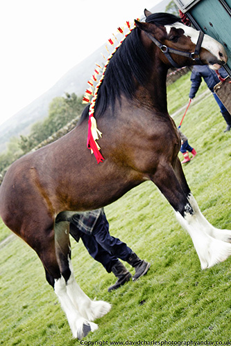 Otley Show 2012